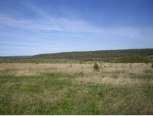 IMGP0037.JPG