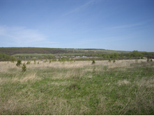 IMGP0038.JPG