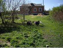 IMGP0057.JPG