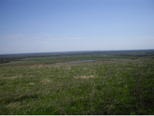 IMGP0083.JPG