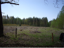 IMGP0108.JPG