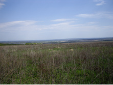 IMGP0119.JPG