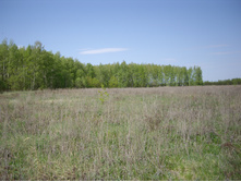IMGP0122.JPG
