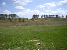 IMGP0143.JPG