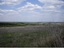 IMGP0157.JPG