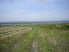 IMGP0188.JPG