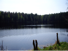 IMGP0255.JPG