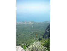 _IGP3831.jpg