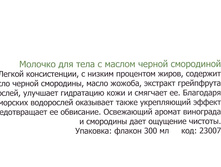 23-007 �0�0��0 ��� ����- � ޣ��0� ��0�0���0�         ���� 337.jpg