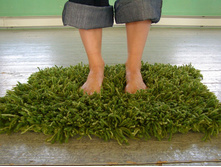 59979533greengrassrags.jpg