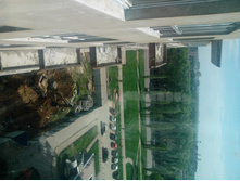 IMG_20130515_143646.jpg