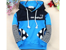 http://www.aliexpress.com/item/free-shipping-children-clothing-Pisces-Features-pocket-stitching-Fake-two-Zebra-sleeves-Hooded-sweater-C018/756702656.html
