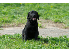 20130512-_DSC0891.jpg