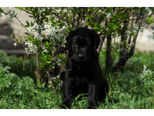 20130512-_DSC0998.jpg