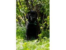 20130512-_DSC1052.jpg