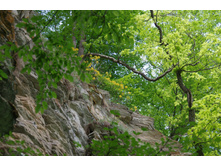 IMGP0614.JPG