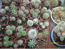 SANY2874.JPG