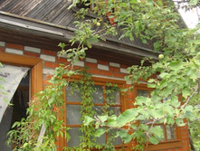 DSC02091.jpg