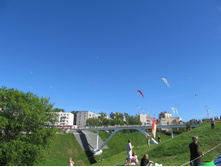 IMG_2338.jpg