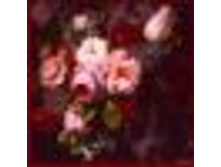 1013-tiny.jpg