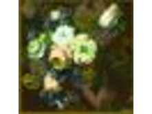 1014-tiny.jpg