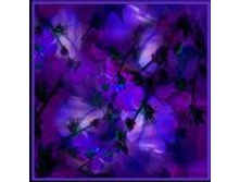 1024-big.jpg