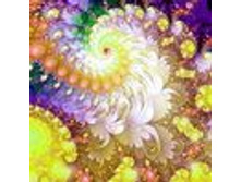 1030-big.jpg