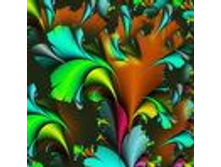 1032-big.jpg