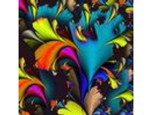 1034-big.jpg