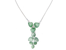 10074611.jpg