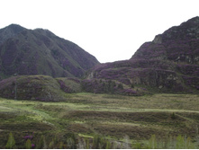 DSCF4014.JPG