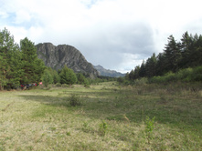 DSCF4050.JPG