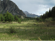 DSCF4052.JPG