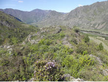 DSCF4093.JPG