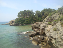 DSC08364.JPG