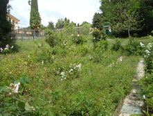 DSC02060.JPG