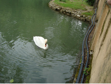 DSC02096.JPG