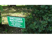 DSC00111.JPG