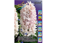 Hyacinth Apricot Passion 66,8�. �� 5 ��..jpg
