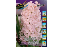 Hyacinth Chestnut Flower 181,9�. �� 5 ��..jpg