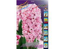 Hyacinth Fondant 66,8�. �� 5 ��..jpg