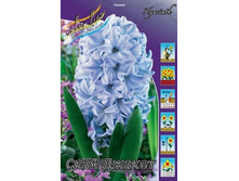 Hyacinth Sky Jacket 61,3�. �� 5 ��.jpg
