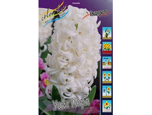 Hyacinth White Pearl 66,8�. �� 5 ��..jpg