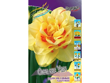 Narcissus All In One 420,3�. �� 3��.jpg