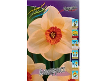 Narcissus Altruist 155�. �� 5 ��..jpg