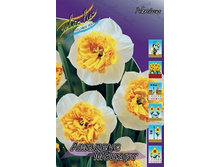 Narcissus Amadeus Mozart 138,9�. �� 5 ��..jpg