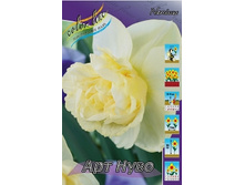 Narcissus Art Design 213,4�. �� 5��..jpg