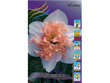 Narcissus Articol 194,1�. �� 5 ��..jpg