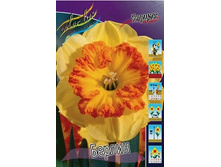 Narcissus Berlin 180,3�. �� 5��..jpg