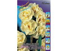 Narcissus Bridal Crown 111,3�. �� 10��..jpg
